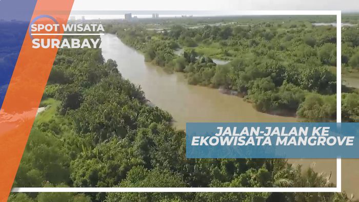 Mengunjungi Indahnya Ekowisata Mangrove di Kota Pahlawan, Surabaya