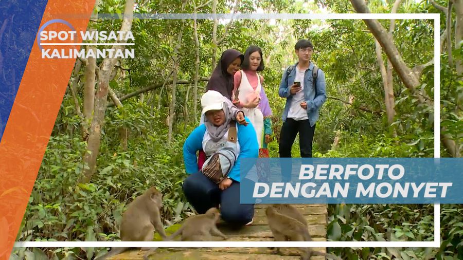 Pulau Kembang, Serunya Berfoto Dengan Monyet-monyet Jinak Penghuni Pulau, Kalimantan Selatan