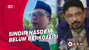 PPP Balas Zulfan Lindan soal KIB Ecek-ecek: Pernyataan Ngawur