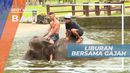 Berlibur Bersama Para Gajah, Bali
