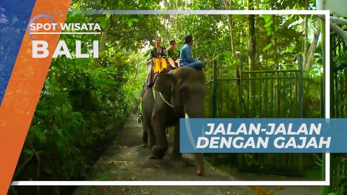 Menikmati Alam Asri dengan Gajah, Bali