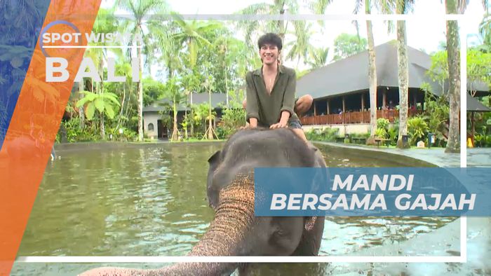 Basah-basahan Bersama Para Gajah, Bali