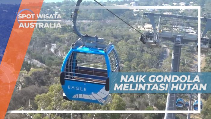 Seru, Naik Gondola Cable Car Melintasi Hutan, Australia