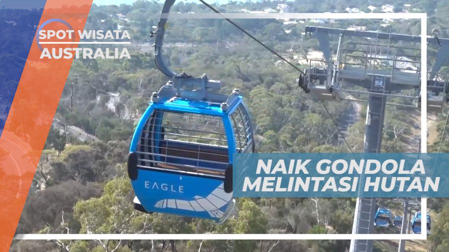Seru, Naik Gondola Cable Car Melintasi Hutan, Australia