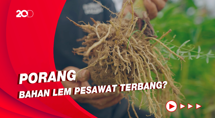 Kisah Petani Porang Banting Stir Merambah Usaha Walet