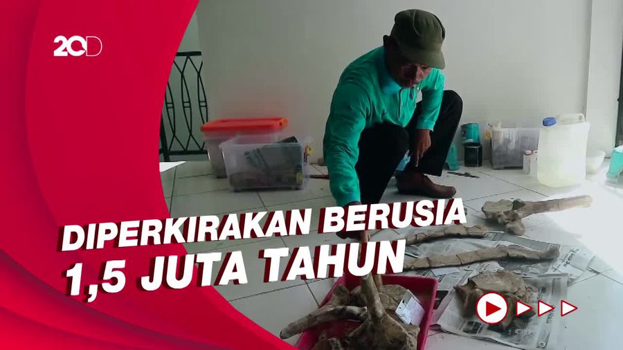 Museum Purbakala Patiayam Selamatkan Fragmen Rusa-Gajah Purba