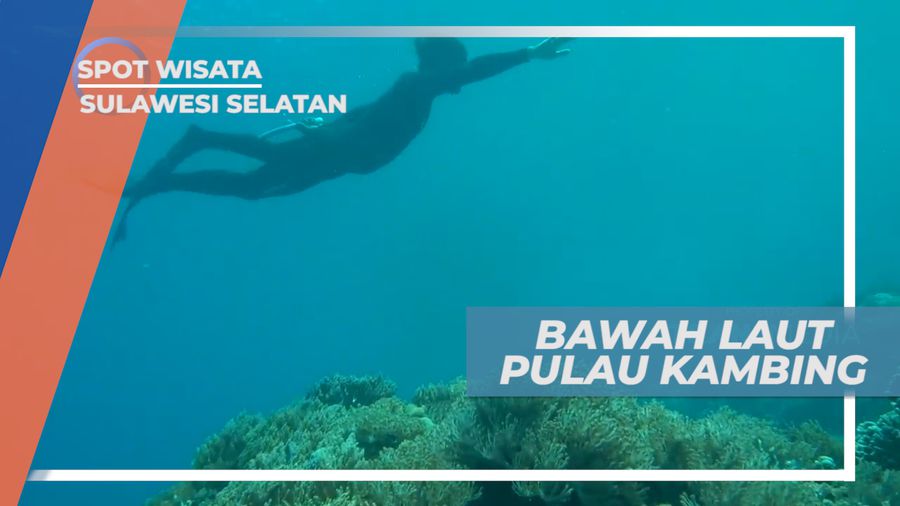 Menjelajahi Indahnya Surga Bawah Laut Pulau Kambing yang Menawan, Tanjung Bira