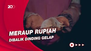 Kisah Pengusaha Walet Dari Sebuah Buku