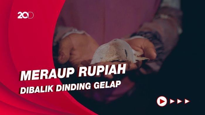 Kisah Pengusaha Walet Dari Sebuah Buku