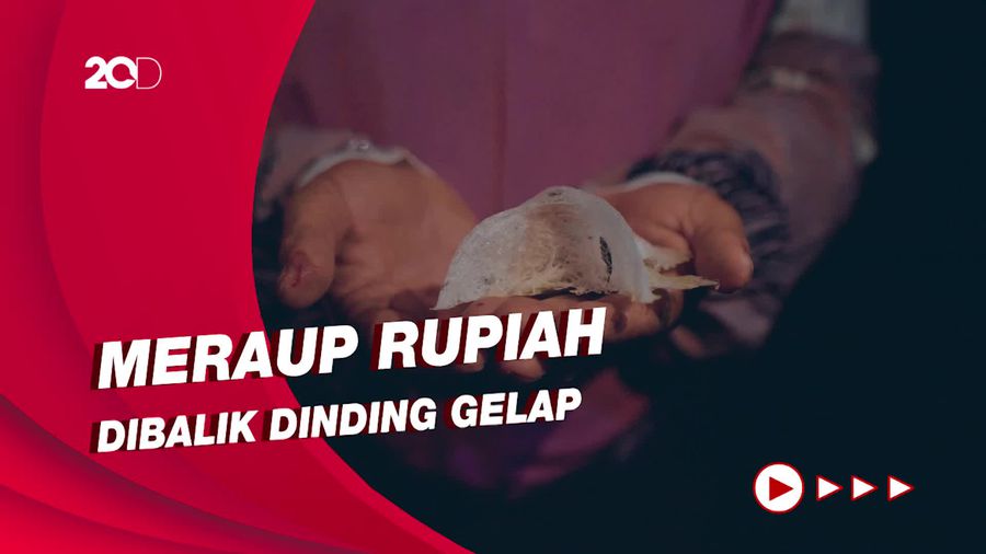 Kisah Pengusaha Walet Dari Sebuah Buku