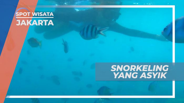 Pulau Macan, Menjelajahi Indahnya Sruga Bawah Laut Kepulauan Seribu