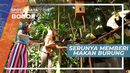 Memberi Makan Burung di Bird Park Bogor Jawa Barat