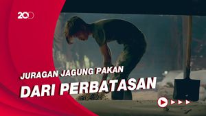Kisah Sukses Juragan Jagung Pakan di Perbatasan, Hingga Banjir Orderan