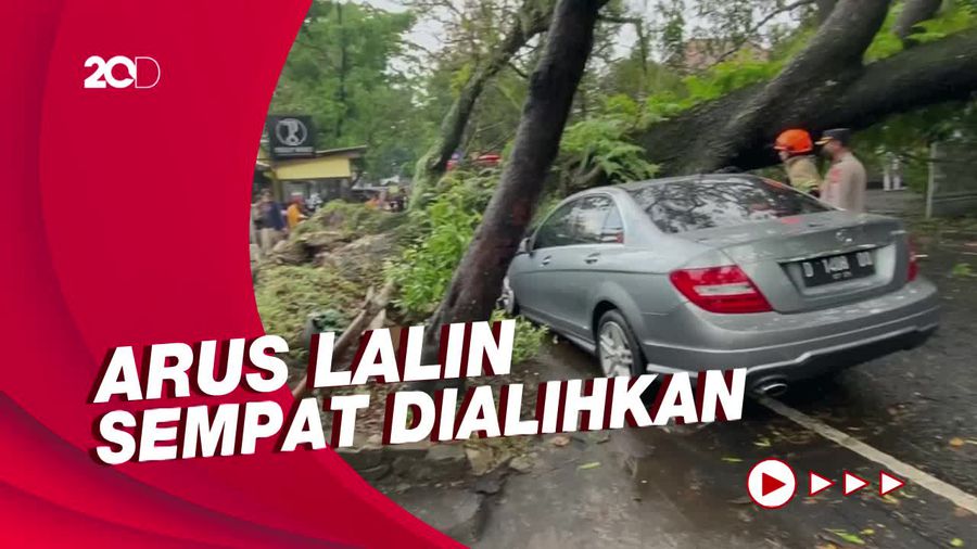 Pohon Berusia 50 Tahun di Bandung Timpa Mercy, Tak Ada Korban Jiwa