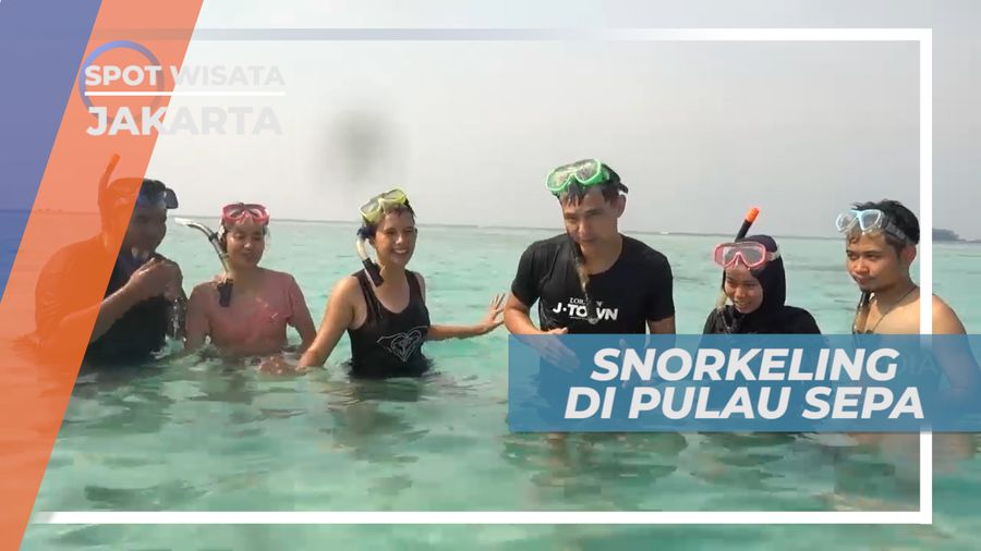 Menikmati Pemandangan Bawah Laut dengan Snorkeling di Pulau Sepa, Jakarta