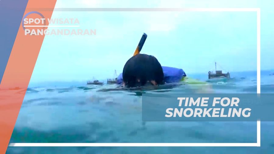Snorkeling, Bagi yang Senang dengan Pemandangan Bawah Laut, Pangandaran