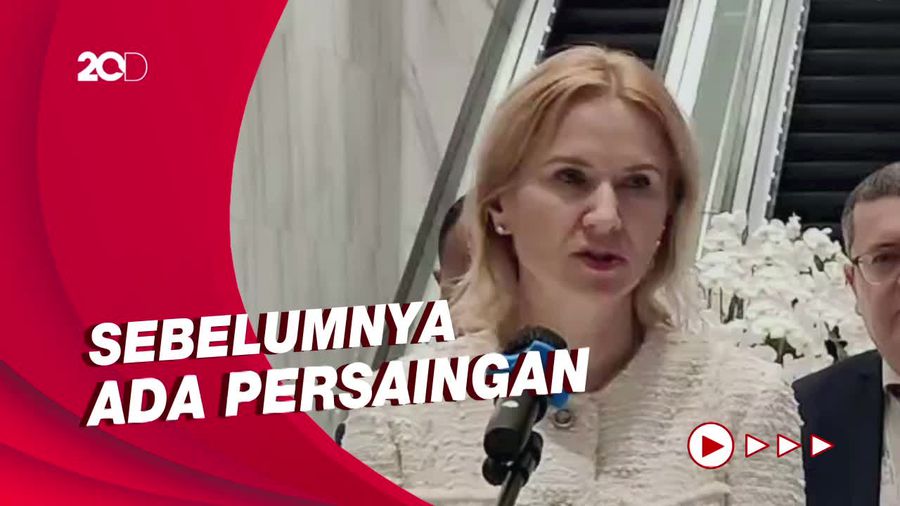 Bertemu NasDem, DPR Ukraina Sebut Parpol Kini Bersatu Wujudkan Perdamaian