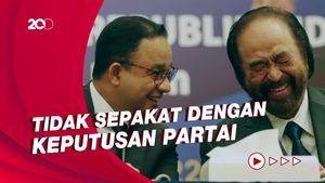 NasDem Usai Usung Anies Nyapres: Banyak Kader Cabut-Suara Turun