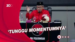 Mega ke Hasto Soal PDIP Belum Deklarasikan Capres: Sabar Saja