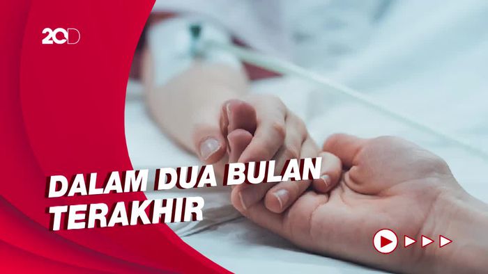 IDAI Investigasi Lonjakan Kasus Gagal Ginjal Akut Pada Anak