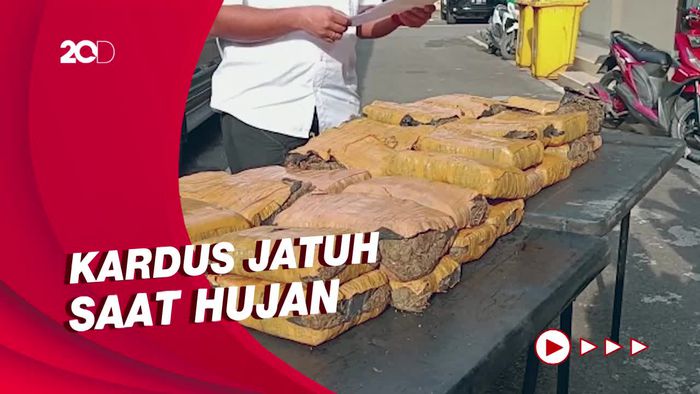 Polisi Buru Pria Bawa Kardus Isi Ganja 32 Kg di Deli Serdang