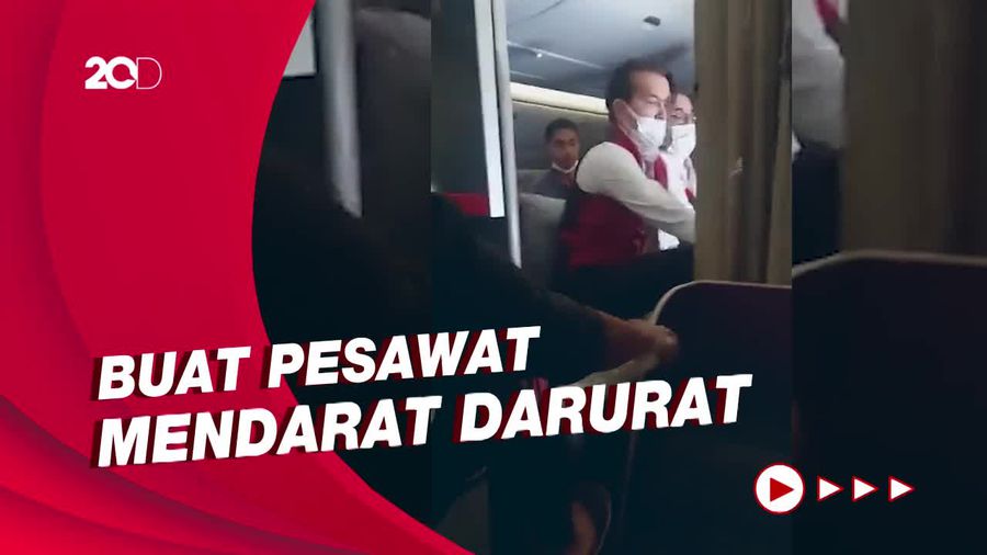 Lion Air Group Akui WNI Mabuk di Turkish Airlines Karyawannya!
