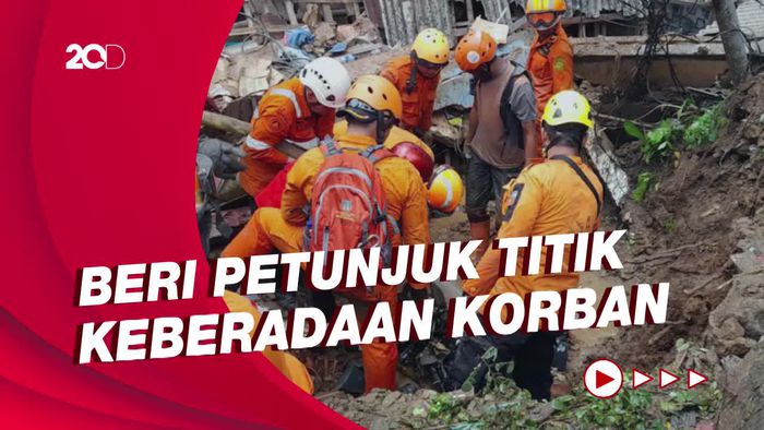 Tim SAR Terjunkan Anjing Pelacak Cari 2 Korban Longsor Bogor