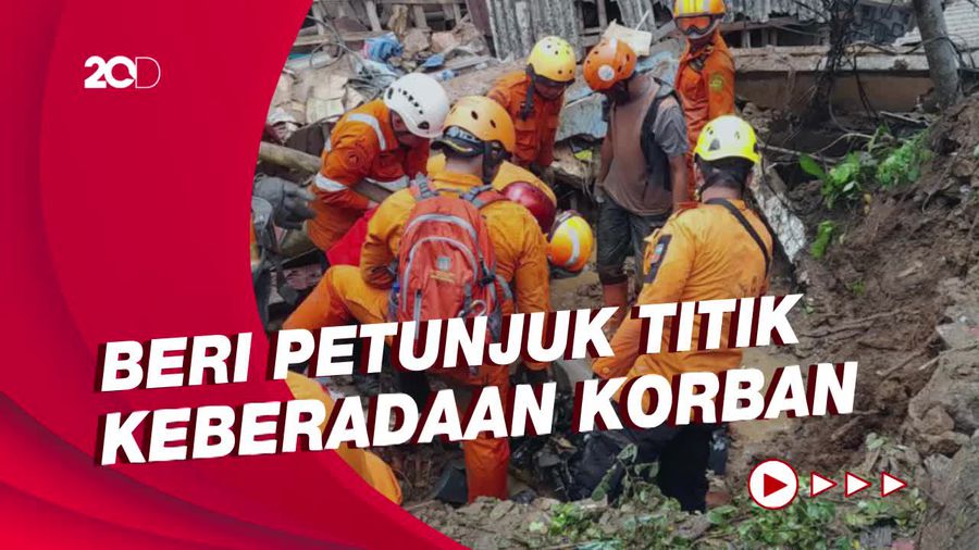 Tim SAR Terjunkan Anjing Pelacak Cari 2 Korban Longsor Bogor