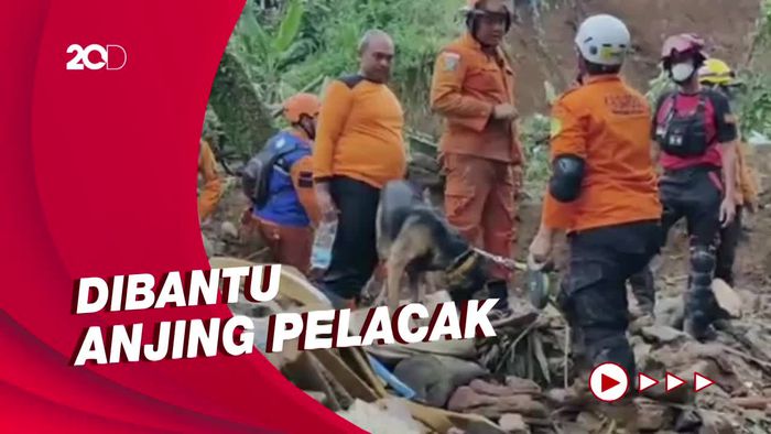 Cerita Tim SAR Evakuasi Korban Longsor Gang Barjo Dibantu Anjing Pelacak 