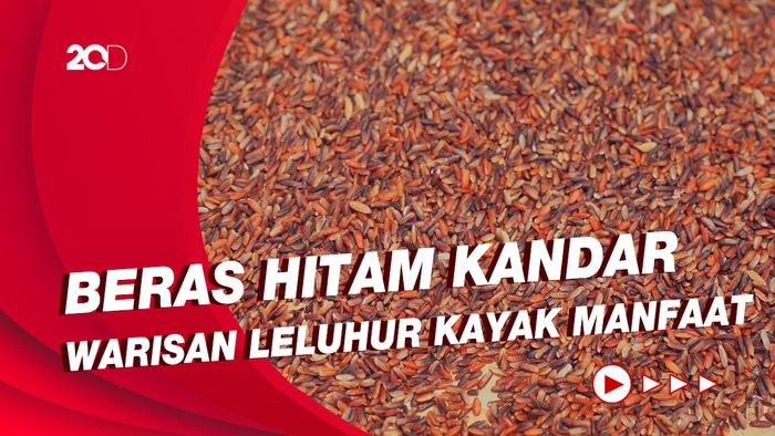 Beras Hitam Kandar Warisan Leluhur Kaya Manfaat