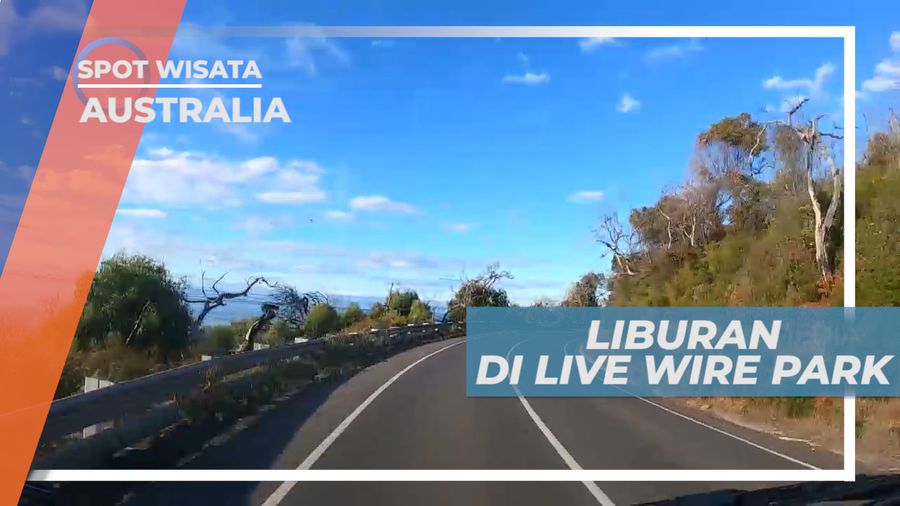 Liburan Seru di Live Wire Park Ausralia