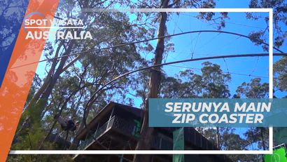 Zip Coaster yang Memacu Adrenalin, Australia