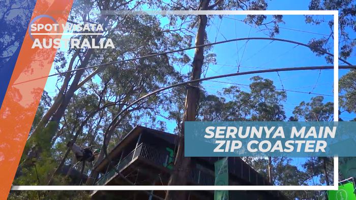Zip Coaster yang Memacu Adrenalin, Australia