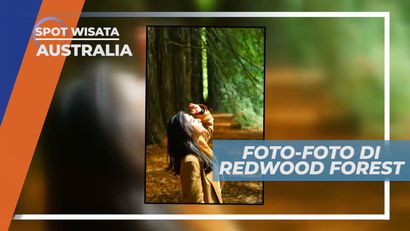 Berfoto dengan Latar Hutan Redwood yang Estetik, Australia