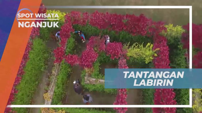 Tantangan Bermain di Labirin Taman Bunga, Nganjuk Jawa Timur