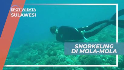 Snokeling Menikmati Keindahan Bawah Laut Sulawesi Selatan