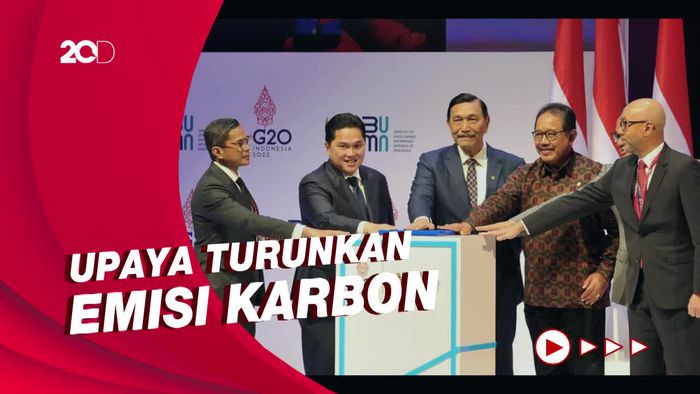Langkah BUMN dalam Menjawab Tantangan Transisi Energi
