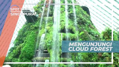 Berkunjung ke Cloud Forest, Taman Dengan Panorama Indah dan Hijau, Singapura