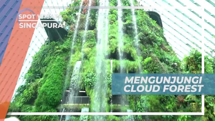 Berkunjung ke Cloud Forest, Taman Dengan Panorama Indah dan Hijau, Singapura