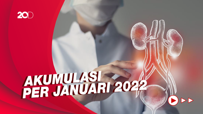 Gagal Ginjal Akut Misterius di DKI Jakarta Bertambah 49 Kasus