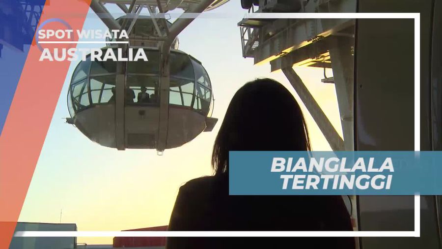 Bianglala Melbourne Star, Tertinggi di Australia Bianglala Melbourne Star, Tertinggi di Australia