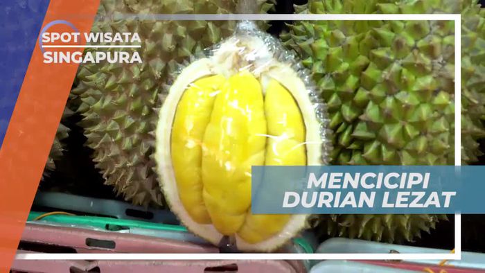 Musang King, Durian Kecil Dengan Daging Tebal dan Lezat, Singapura