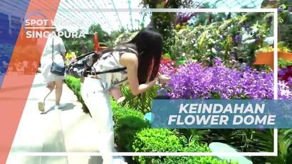 Flower Dome, Taman Bunga Dengan Dekorasi Cantik di Singapura