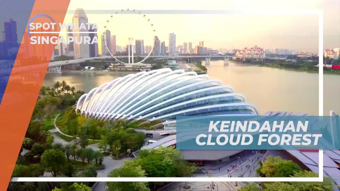 Suasana Sejuk dan Asri Cloud Forest Singapura