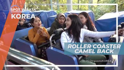 Memacu Adrenalin Naik Roller Coaster Camel Back, Korea Selatan