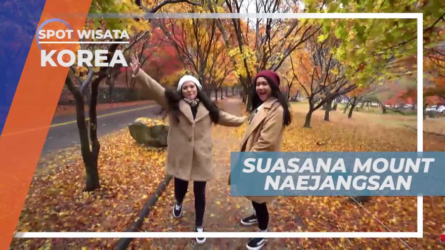 Berkunjung ke Mount Naejangsan National Park Korea Selatan