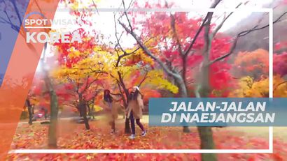 Menikmati Suasana Sejuk di Mount Naejangsan National Park Korea Selatan