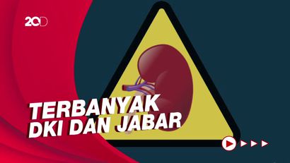 Ini Sebaran 206 Kasus Gagal Ginjal Akut di RI