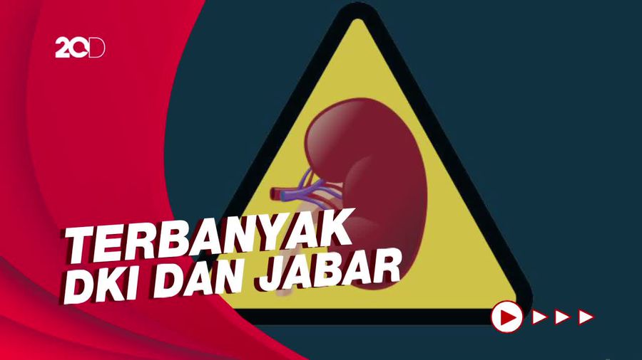 Ini Sebaran 206 Kasus Gagal Ginjal Akut di RI