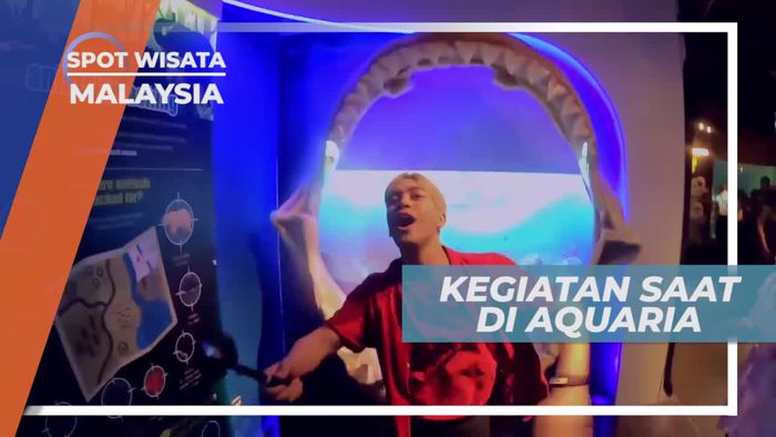 Melihat Hiu di Balik Akuarium Raksasa, Malaysia